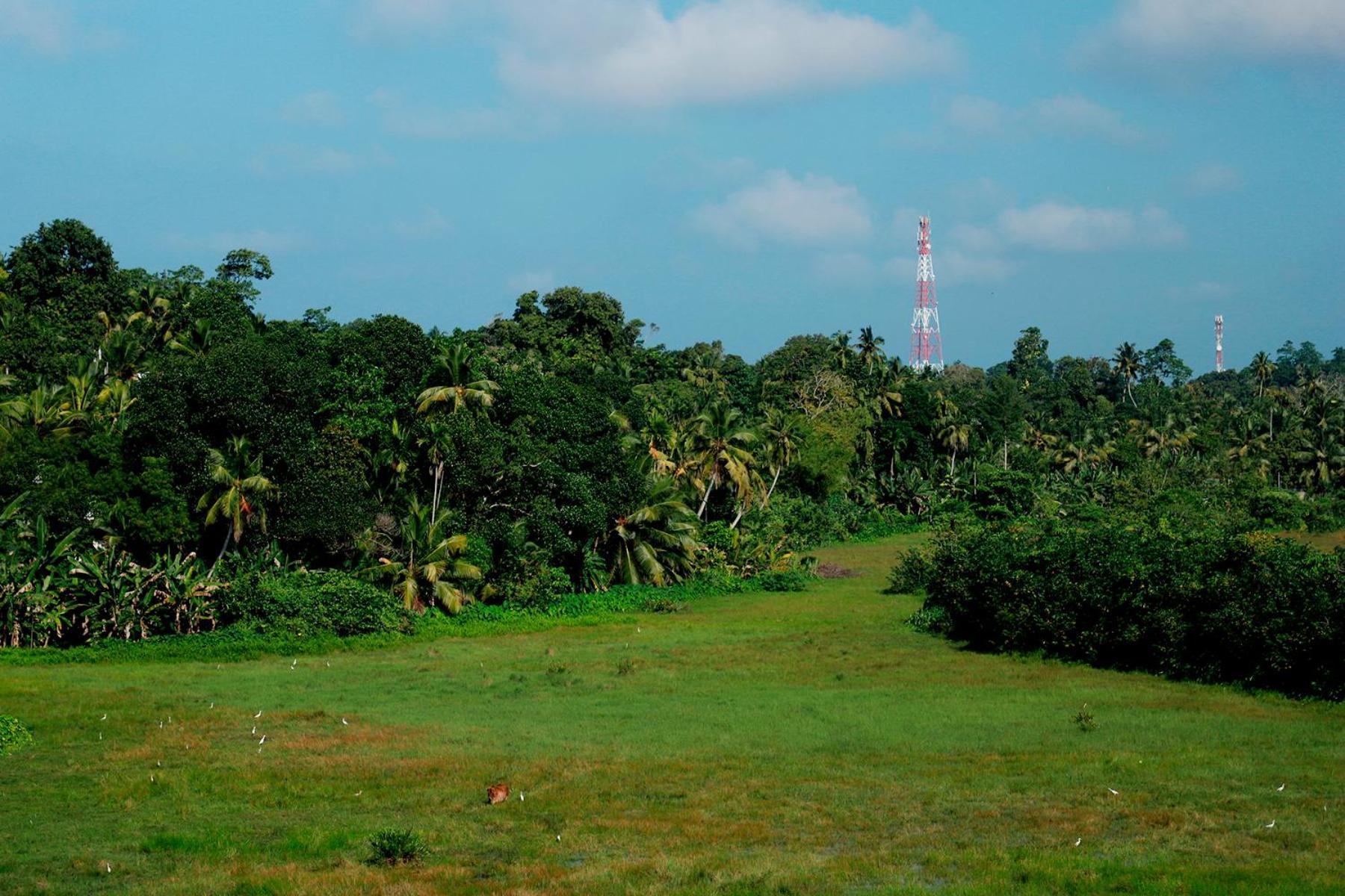 Green Edge Villa Hikkaduwa Bagian luar foto